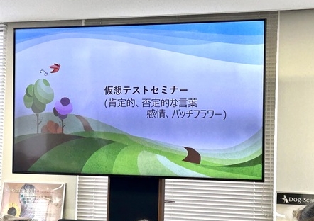 仮想テストから探るあなたの心とカラダ
