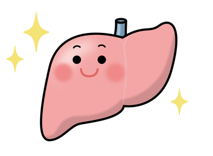 肝臓さんのこと労わってあげましょう。